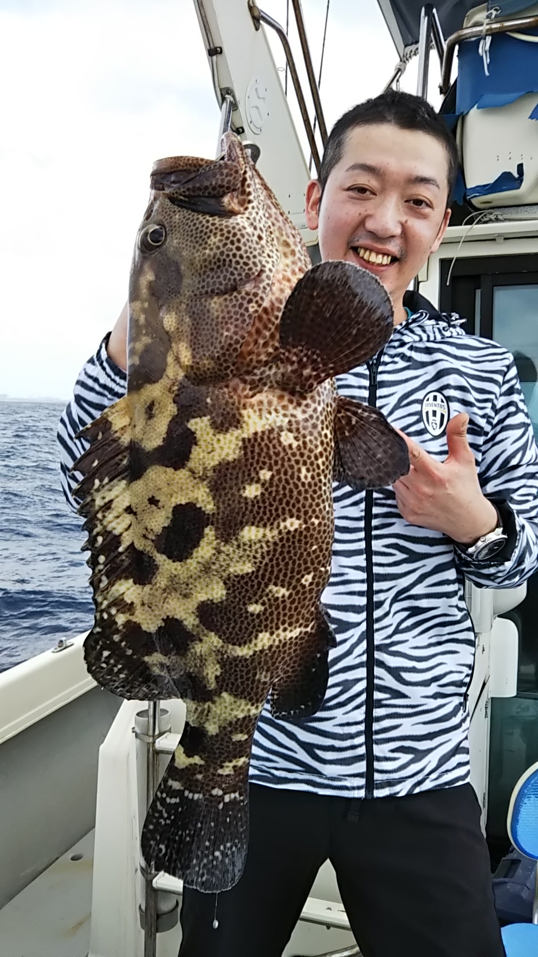 沖縄海域にはアカジン以外にも沢山の種類の大型のハタが生息しています。どれも美味な高級魚です。
