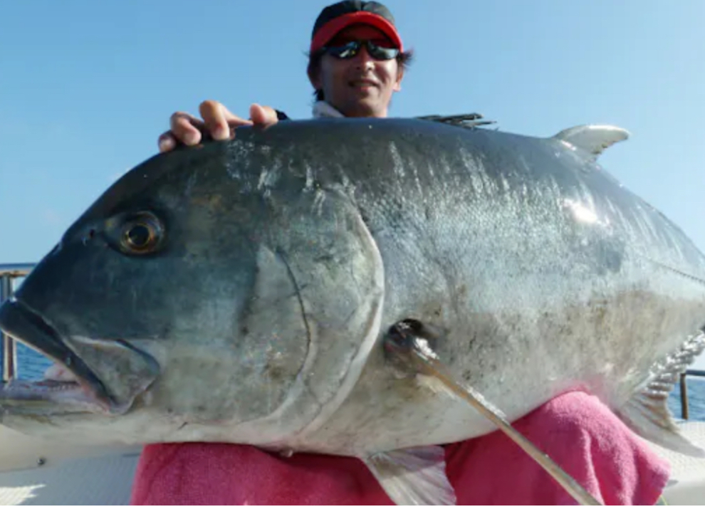 EEL̐ŁAGTiEjAWj̃p[ƃXs[hɒށI EtBbVON[U[1ݐ؂ŋC˂Ȃy߂܂ 