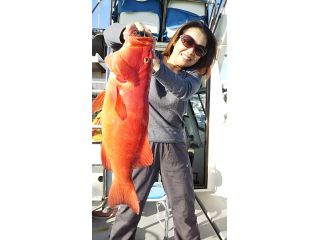 強烈な引きですが、女性でも沢山釣れています。