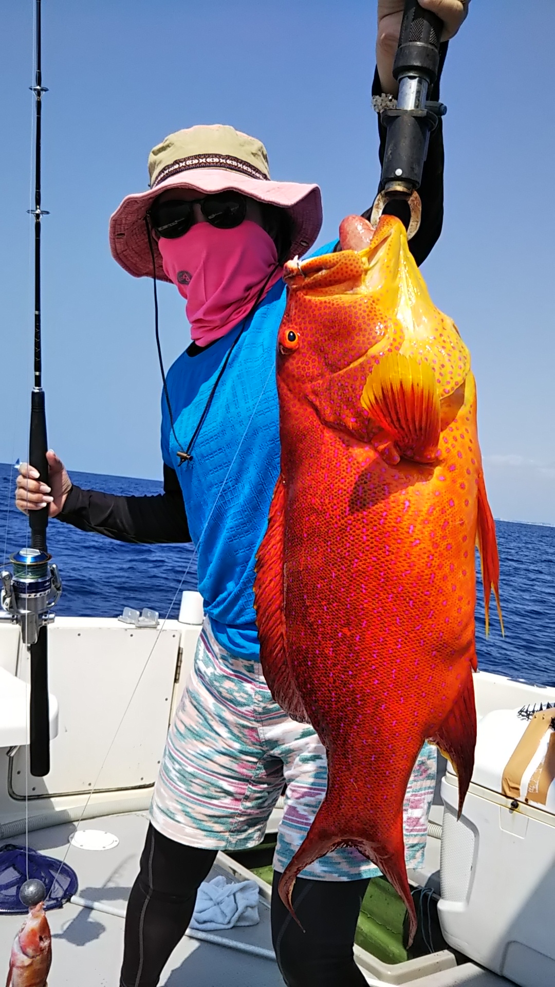 悭ނAJW̐eʁuiKW[~[oCvōɔB