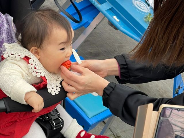 ベビーカーに乗りながら大きないちごをパクリ♪