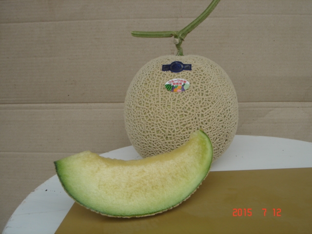 A[X̐oĂĂ܂AɂĂ̓A[X̐ԓO[oĒƂ܂̂ŁA܂B