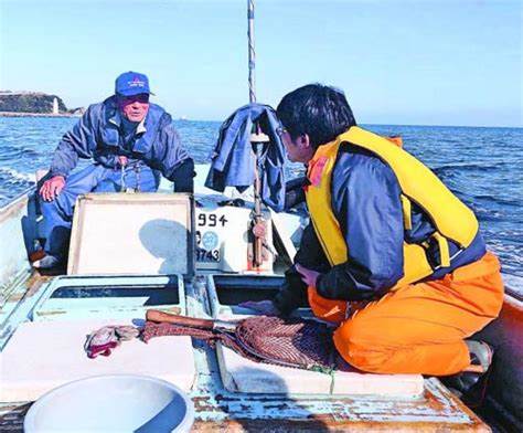 定置網漁体験!鱧、足赤えび天ぷらランチ付き♪♪