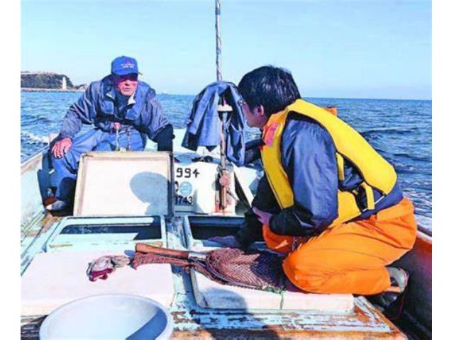 定置網漁体験 鱧 足赤えび天ぷらランチ付き 小松島漁業協同組合 じゃらん遊び体験 定置網漁体験 鱧 足赤えび天ぷらランチ付き 小松島漁業協同組合 じゃらん遊び体験