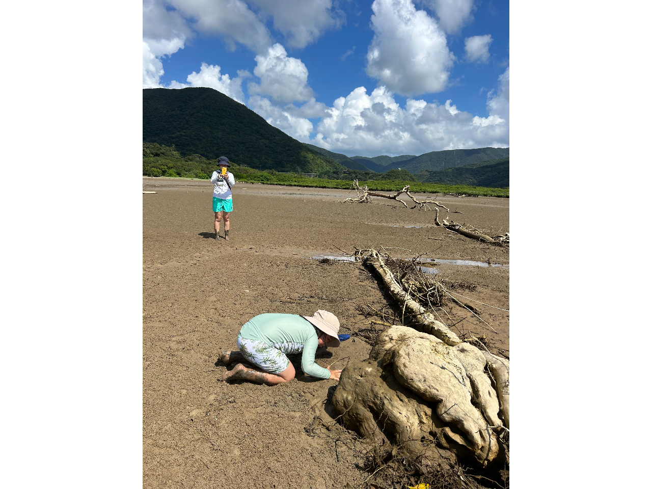 �������邩��