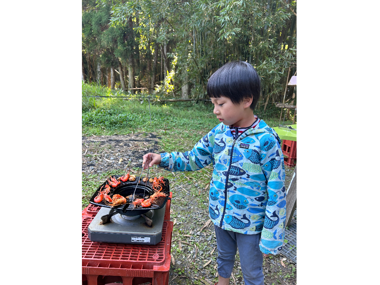 �߂�����G�r�͎����ŃN�b�L���O