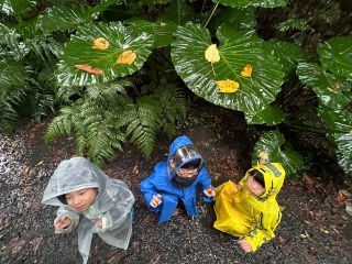 トトロの雰囲気^_^