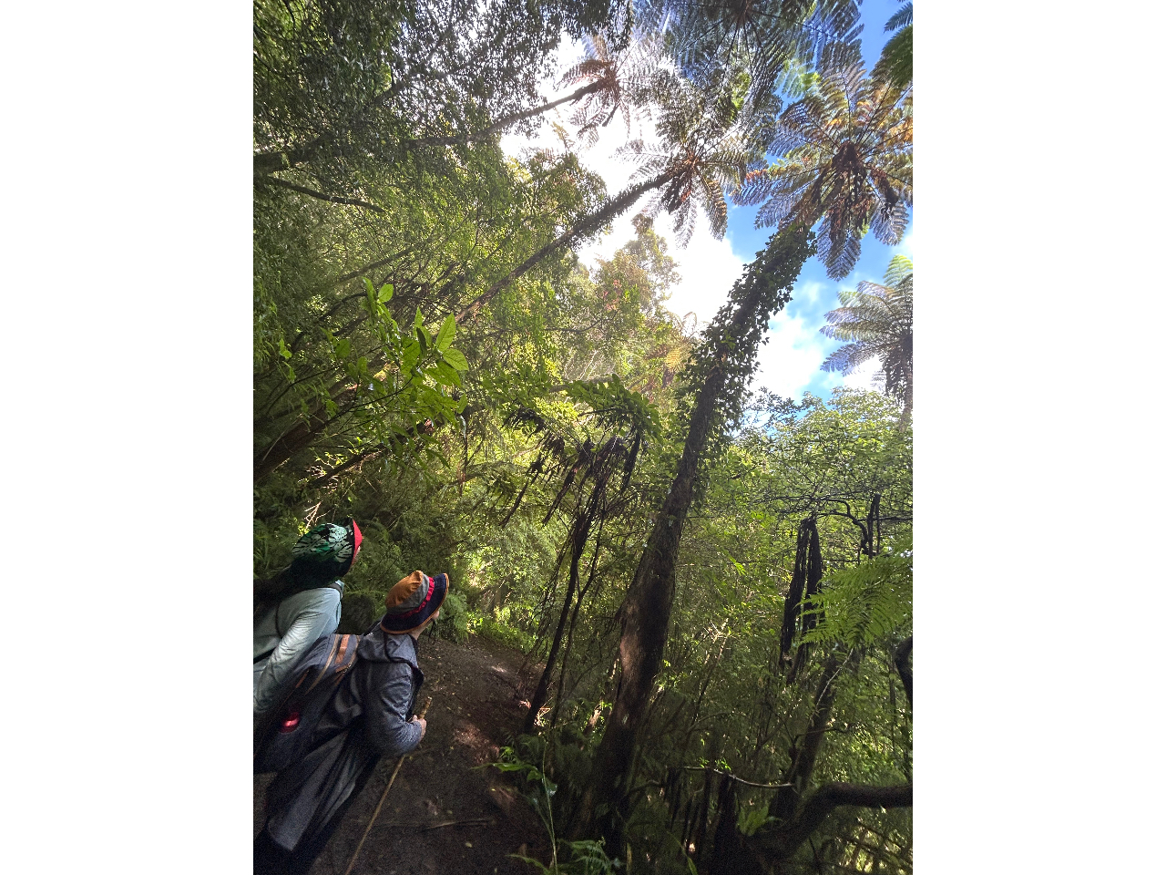 ��������͂���Ȋ����������̂��Ȃ��H^_^