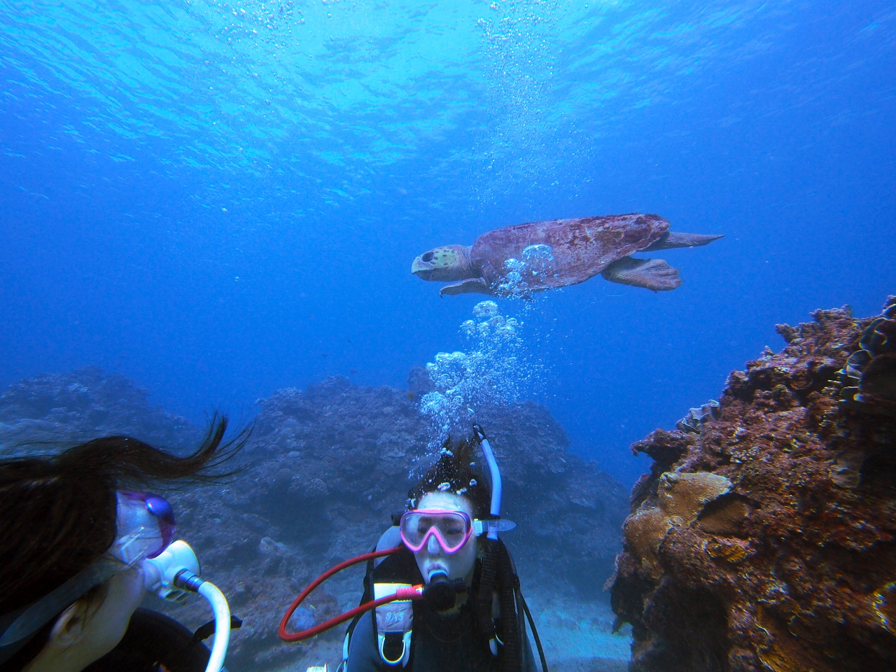 振り返ったら・・・