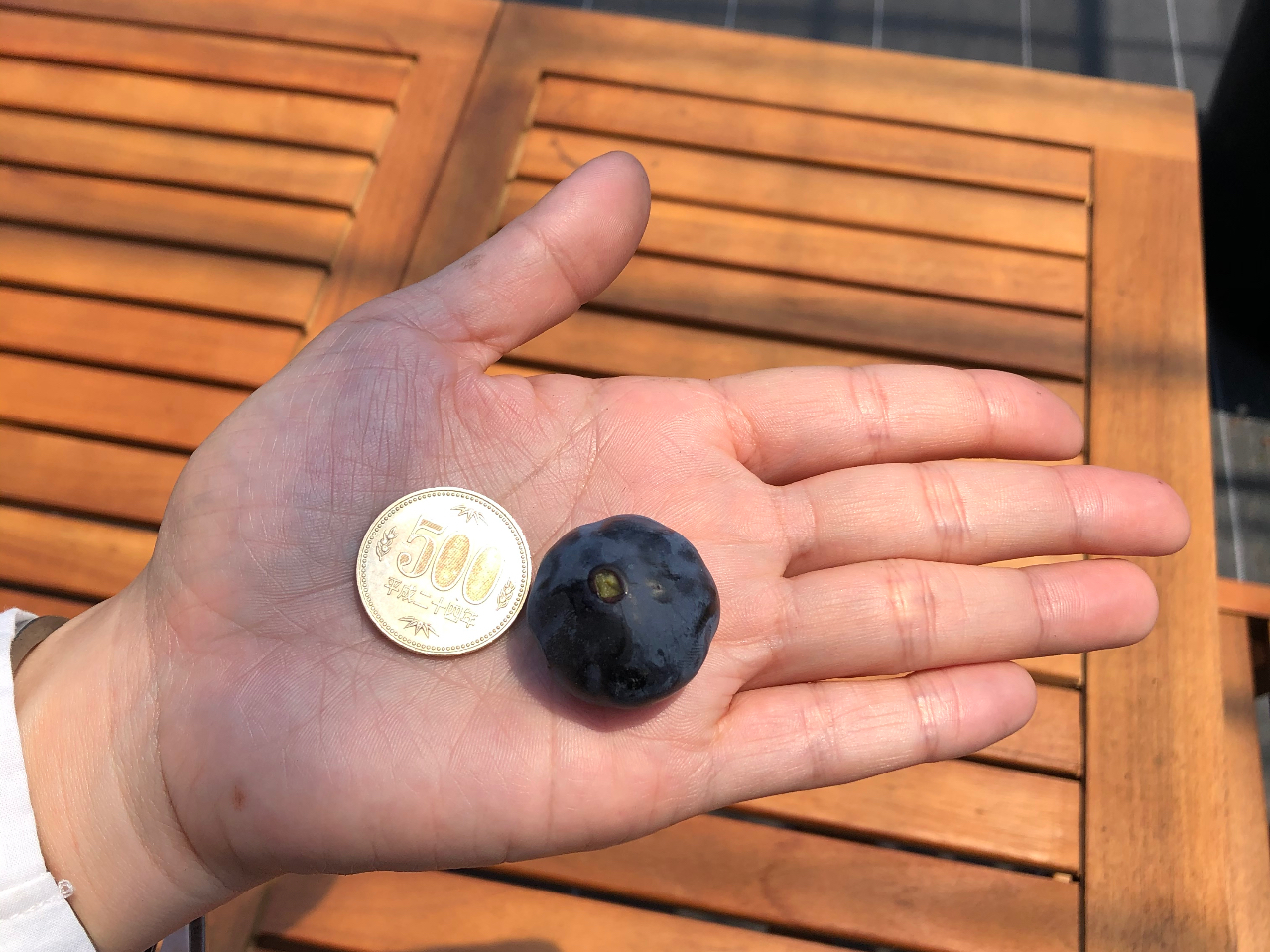 500~ʃTCYȏ̒嗱ł邩II