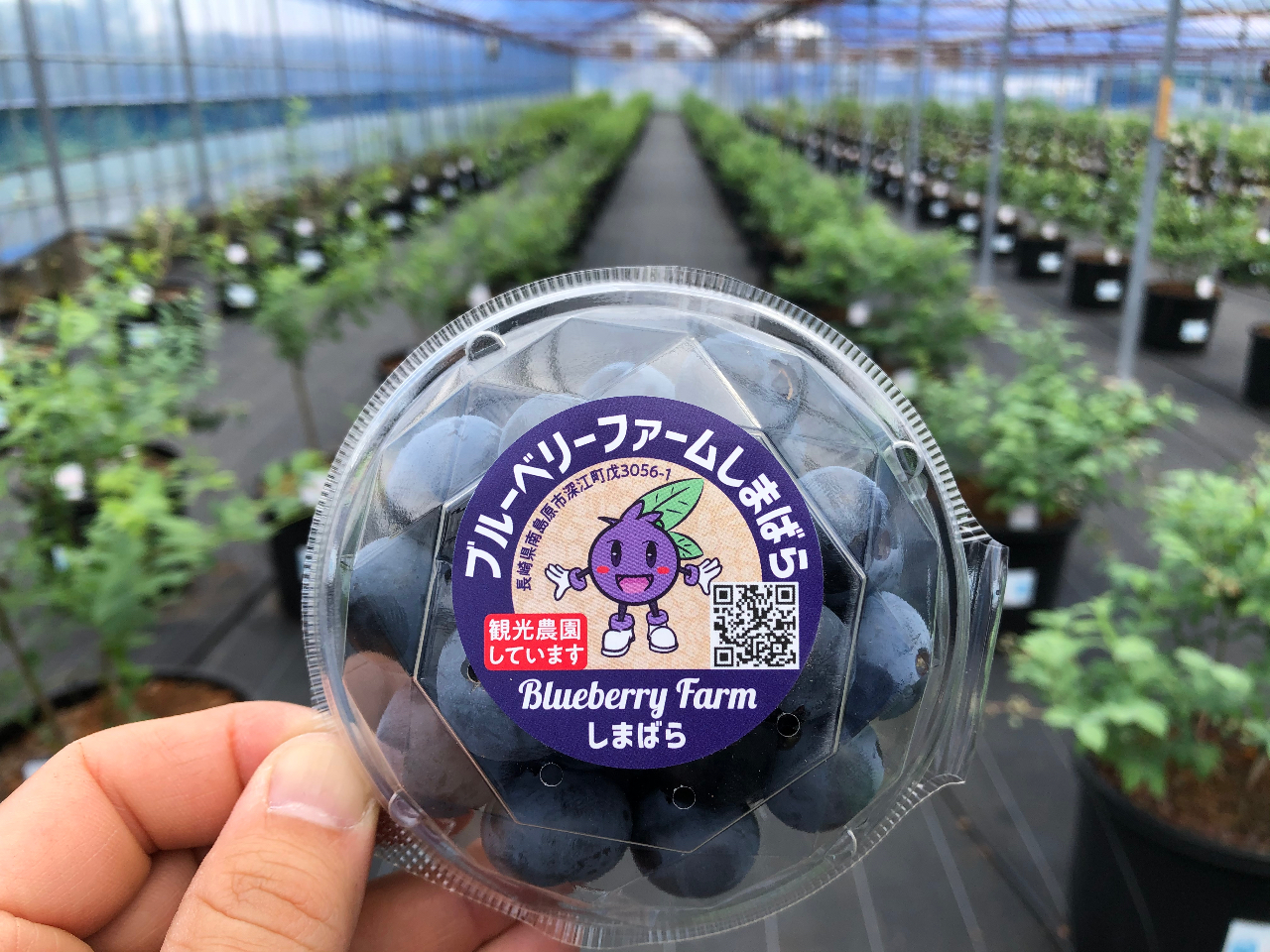 �����A��100g�p�b�N�i500�~�j������܂��B�D���ȕi��������A���đ�؂Ȑl�ɂ��H�ׂ����Ă��������B