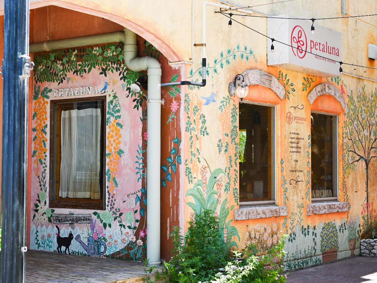 �v�킸�ʐ^���B�肽���Ȃ�A�C���X�g�����ς��̊O�ςł��I