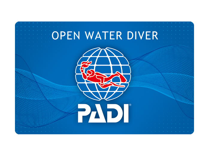 ���E�V�F�ANo1��PADI���C�Z���X