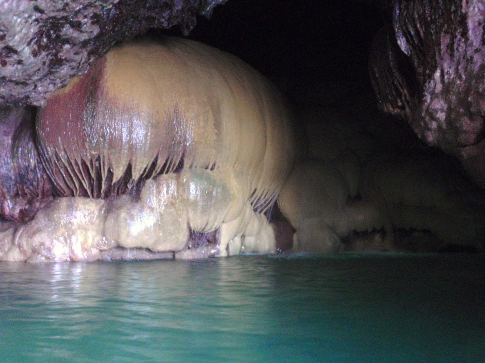 傫ȏߓ΂Aڂ̌`ł̂ŃpvLz[