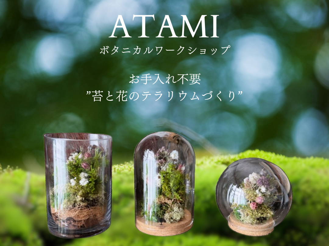 お手入れ不要「苔と花のテラリウム」作り