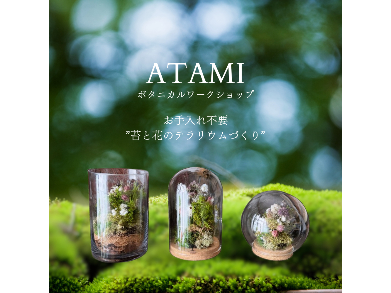 お手入れ不要『苔と花のテラリウム』作り体験