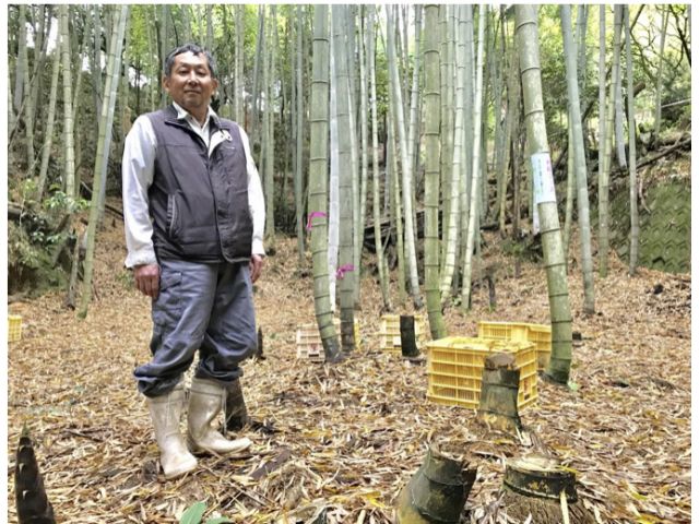 22年予定 たけのこ掘り 3月下 5月だけ 佐賀の自然を感じるやまあいでたけのこ掘り 新鮮なたけのこを家族 カップルで楽しもう たかしま農園 じゃらん遊び体験 22年予定 たけのこ掘り 3月下 5月だけ 佐賀の自然を感じるやまあいでたけのこ掘り 新鮮なたけのこを家族 カップルで楽しもう たかしま農園 じゃらん遊び体験