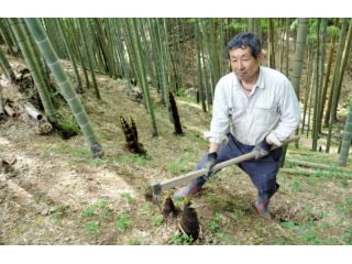 竹の子観光農園 上級コース