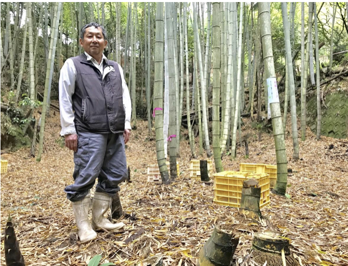 �|�̎q�ό��_���@�����R�[�X