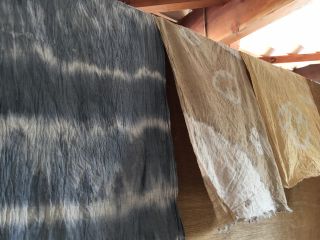 自分で染めたオリジナルの柿渋染め手ぬぐいがお持ち帰りいただけます