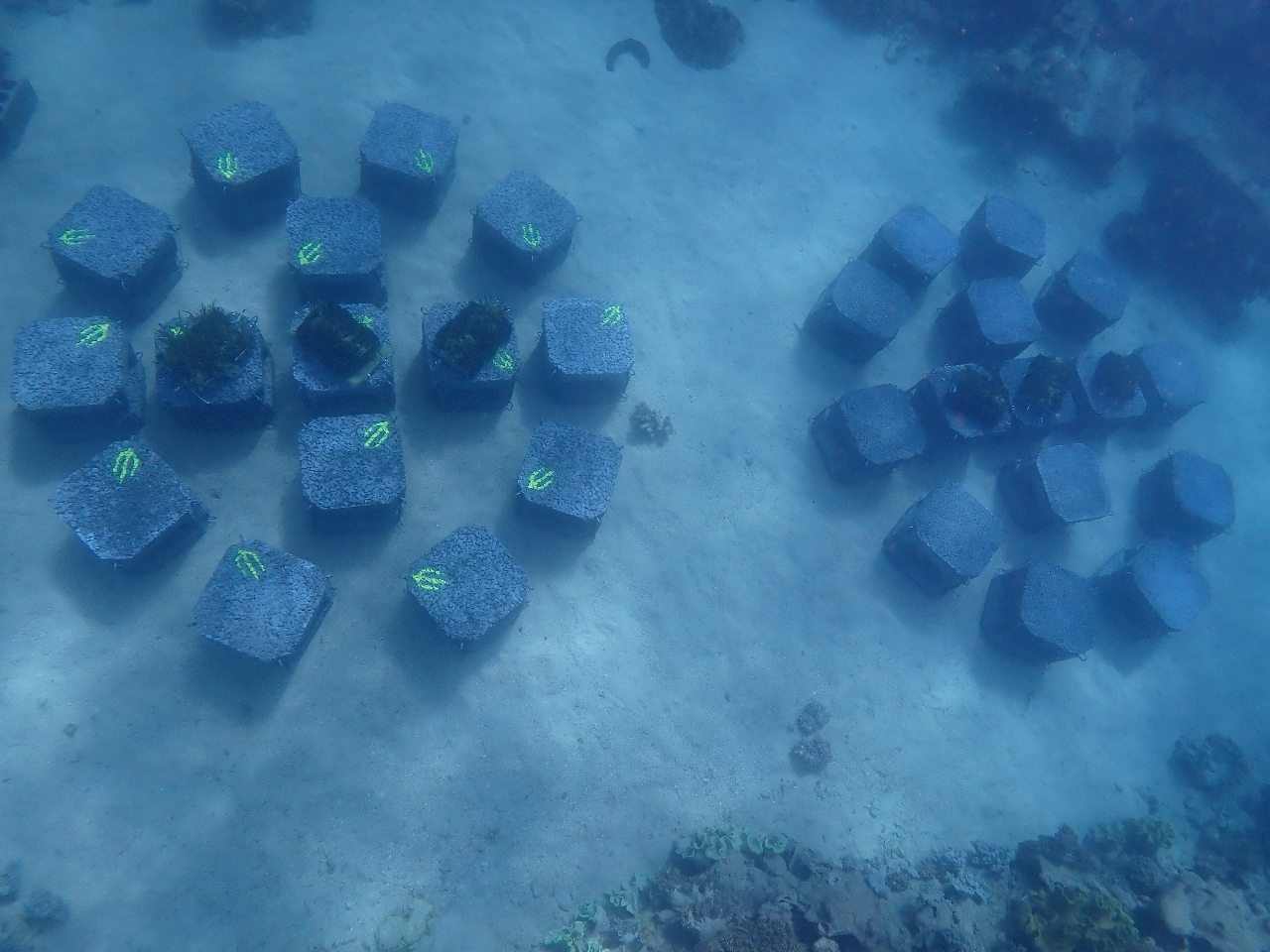 �C�m�����琬����