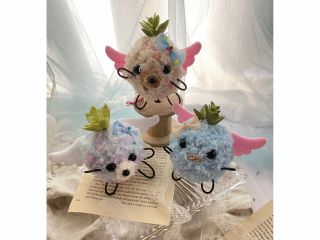 天使の羽が可愛いエンジェルモスペット