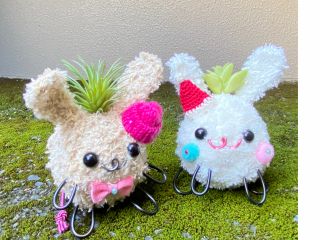 もふもふなうさぎさんモスペット