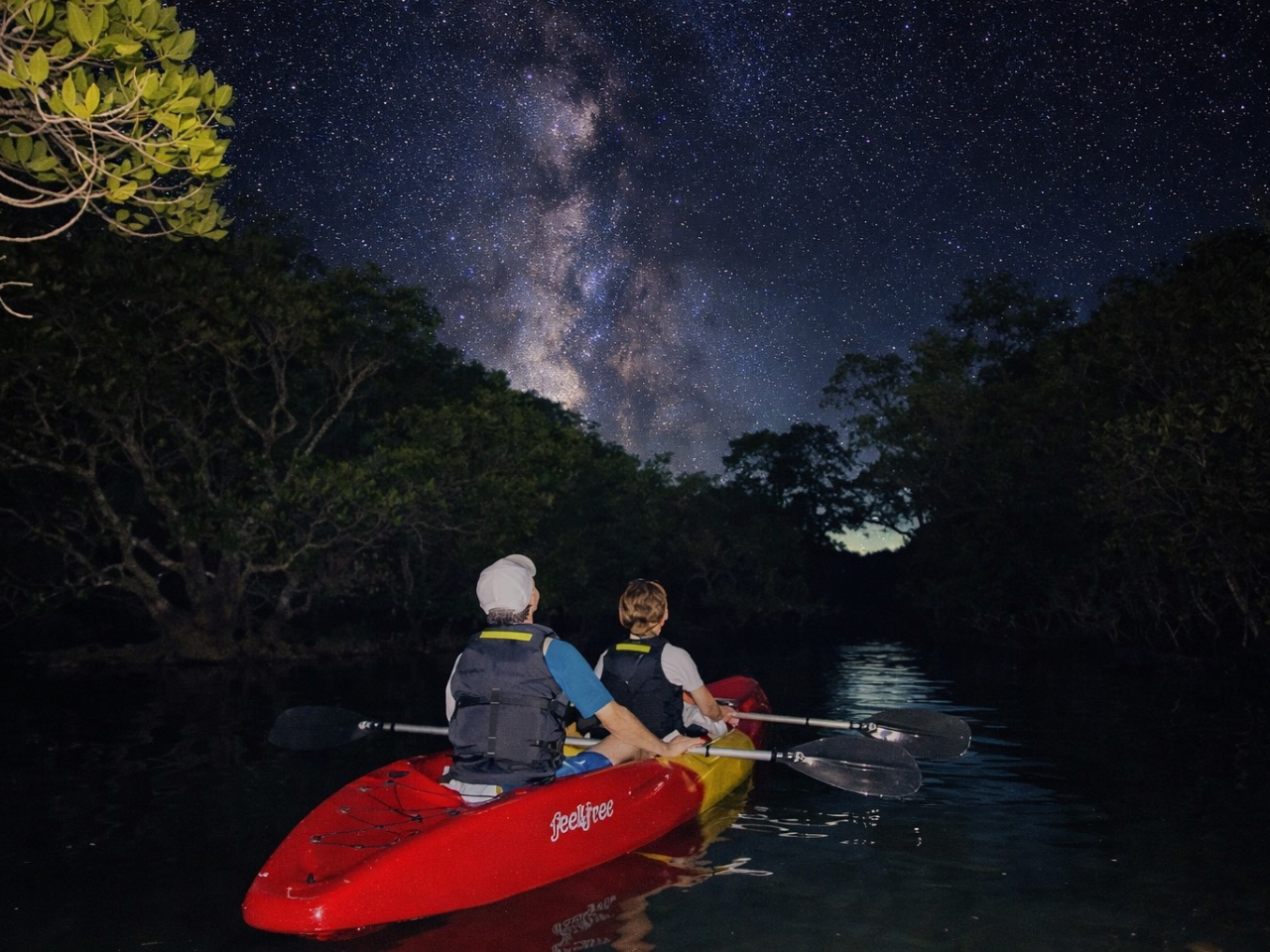 �T���Z�b�g�����ł͂Ȃ��}���O���[�u�T�����y���߂܂��B