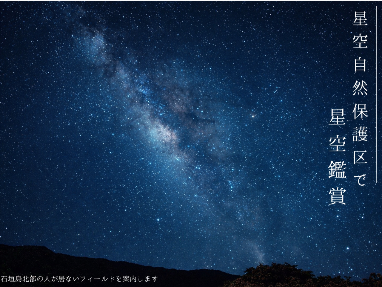 茜色に染まるサンセット＆神秘的なマングローブ＆満点の星空ナイト