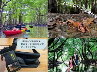 不思議な森マングローブカヤック体験&マングローブ探索上陸付き!原生林に住む生き物や植物に出会えます!