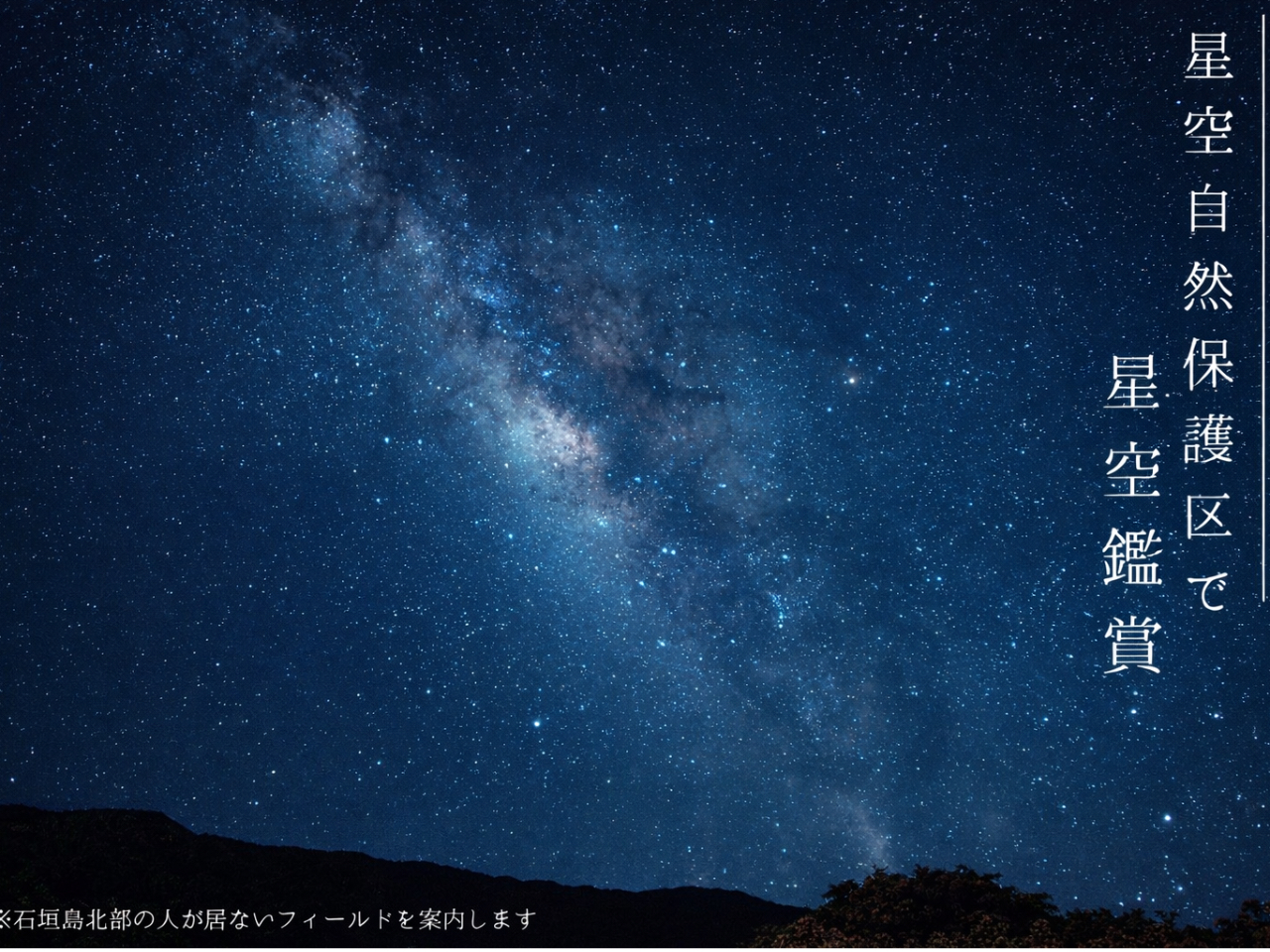 茜色に染まるサンセット＆神秘的なマングローブ＆満点の星空ナイトSUP