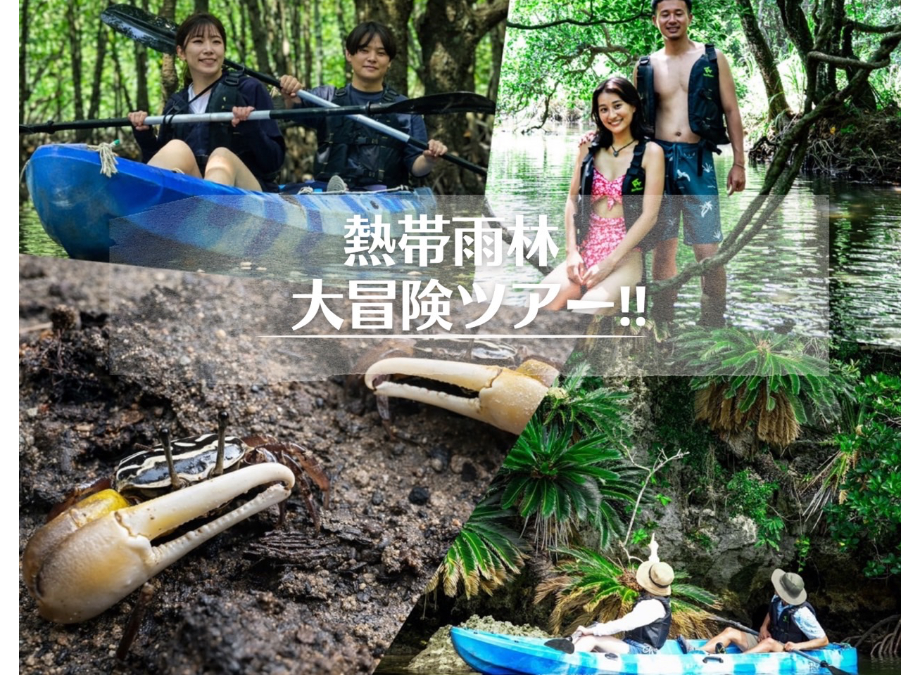 �s�v�c�ȐX�}���O���[�u�J���b�N�̌����}���O���[�u�T���㗤�t���I�����тɏZ�ސ�������A���ɏo��܂��I