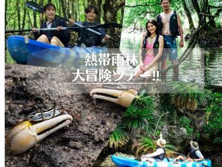 不思議な森マングローブカヤック体験&マングローブ探索上陸付き!原生林に住む生き物や植物に出会えます!