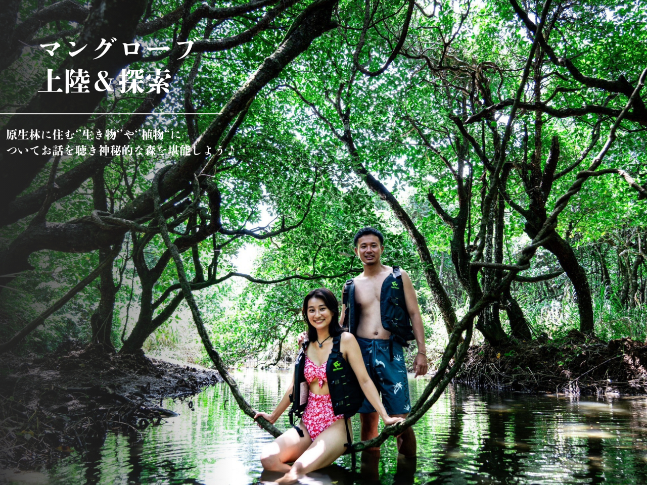 �}���O���[�u���㗤����������A���ɂ��Ēm��܂��I