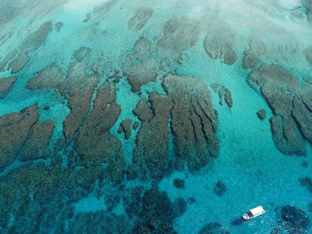 透明度抜群の海