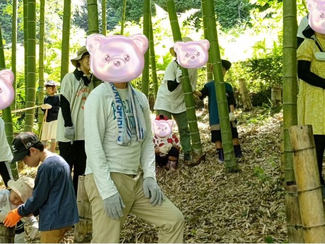 竹林にて竹を切る準備