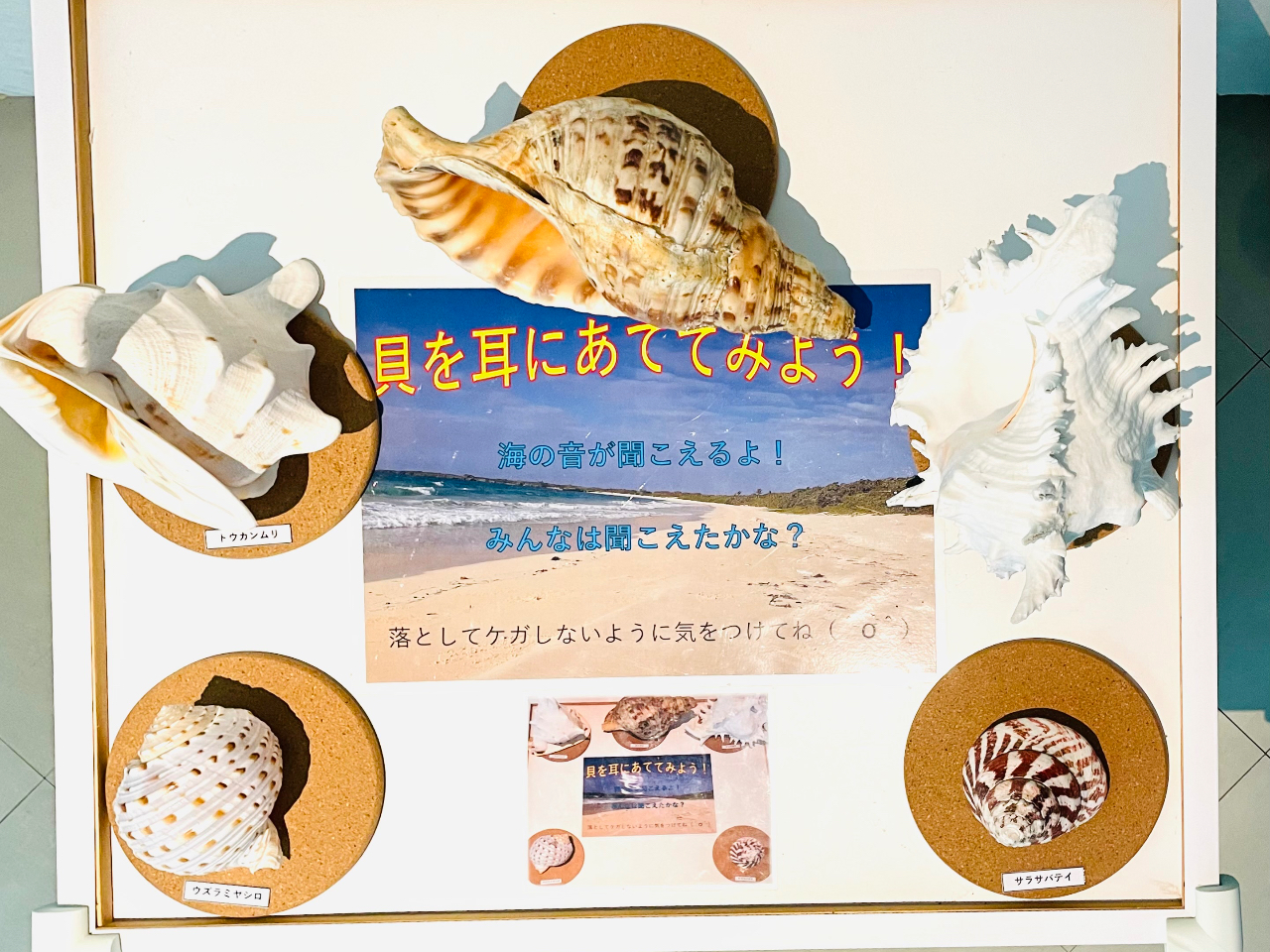 ɓĂƊC̉HIۂɎĂ݂Ă^^