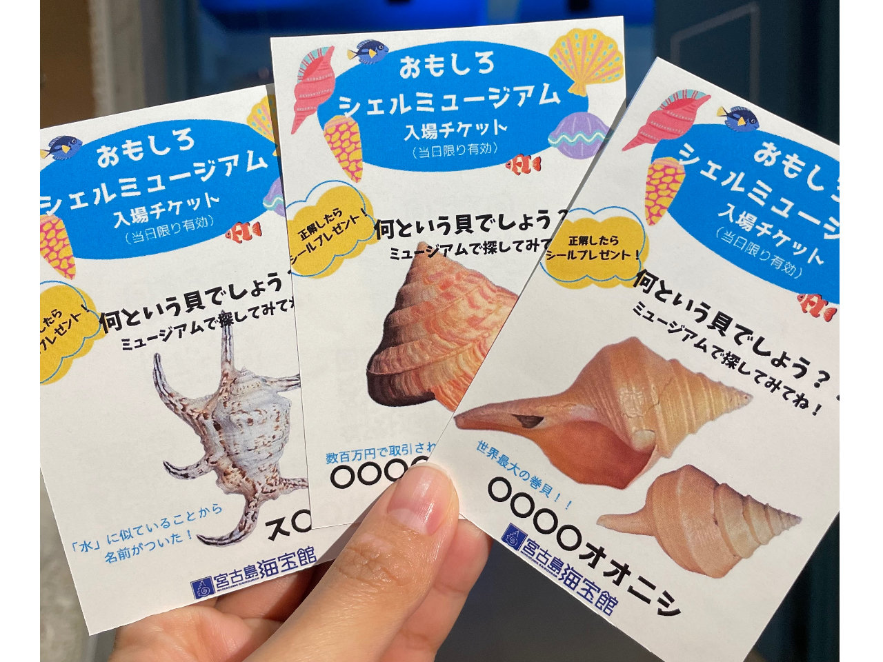 ~[WAw̕ OăNCYII`PbgɍڂĂL̖OwȂ猩āAĂv[g܂^^ 