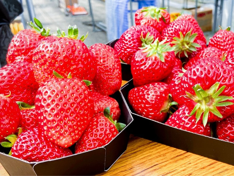 綾部 福知山の果物 野菜狩りランキングtop6 じゃらんnet