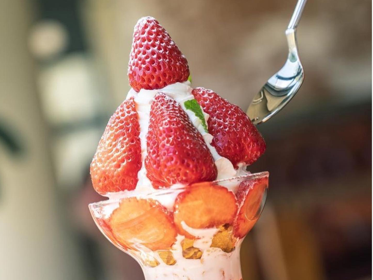 {ݓSLIDERS CAFEiJtFjł́AXC[c₱̃hNI