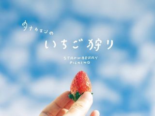 千葉県船橋市のいちご狩り(strawberrypicking Tokyo)