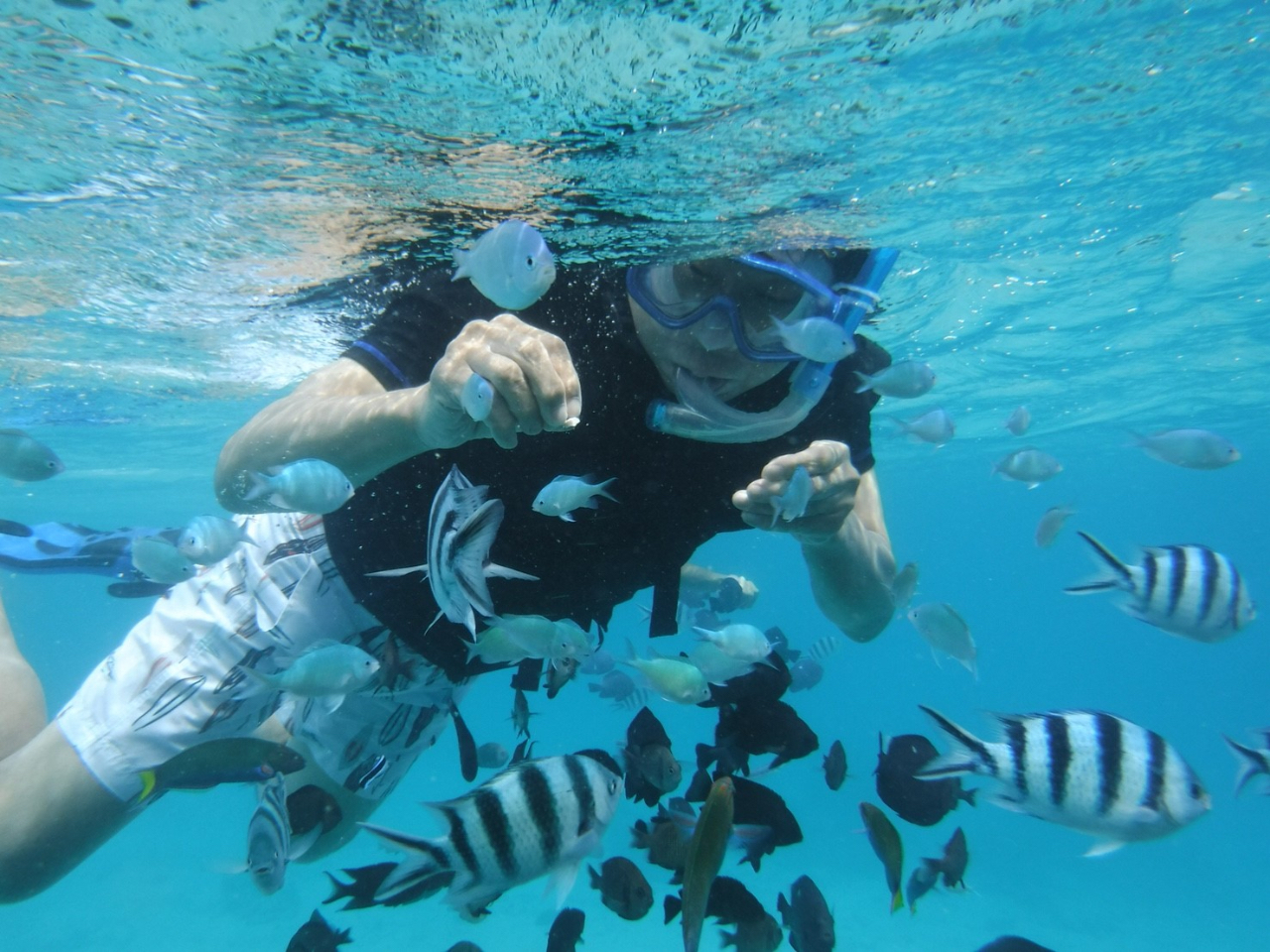 シーカヤックでシュノーケリングも可能