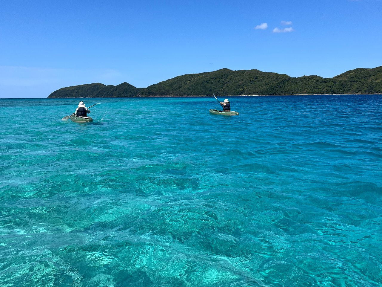 奄美ブルーを間近で