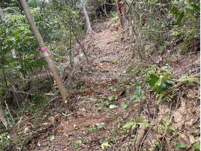 �]�ˎ��ォ?�@�����ł��B�]�ˎ���ɂ͕����Ă������ł��B