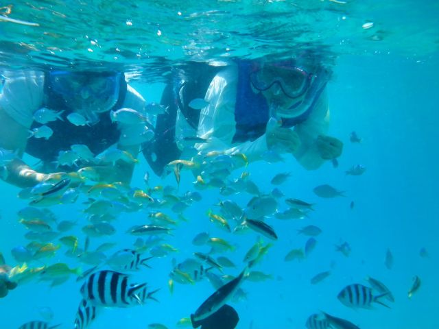 お魚に囲まれますよー