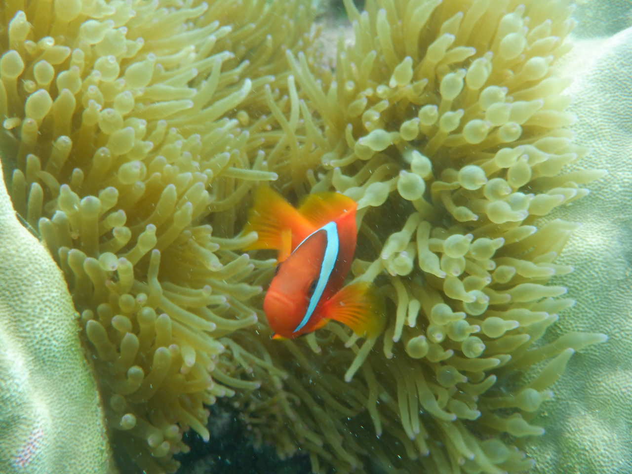 彼らも待っています