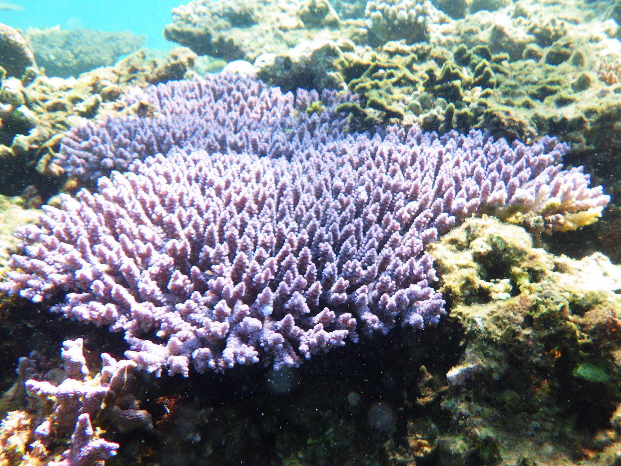 TSʂςɍs܂[A|Cg߂̂2J߂II