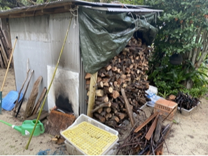 ����T�E�i�@�������ܖ��㖳��