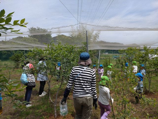 害虫駆除のお手伝いです。