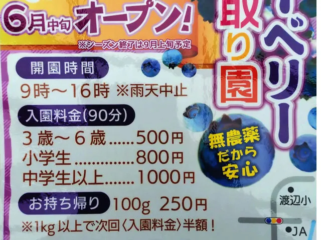 2025年より価格改定しております。